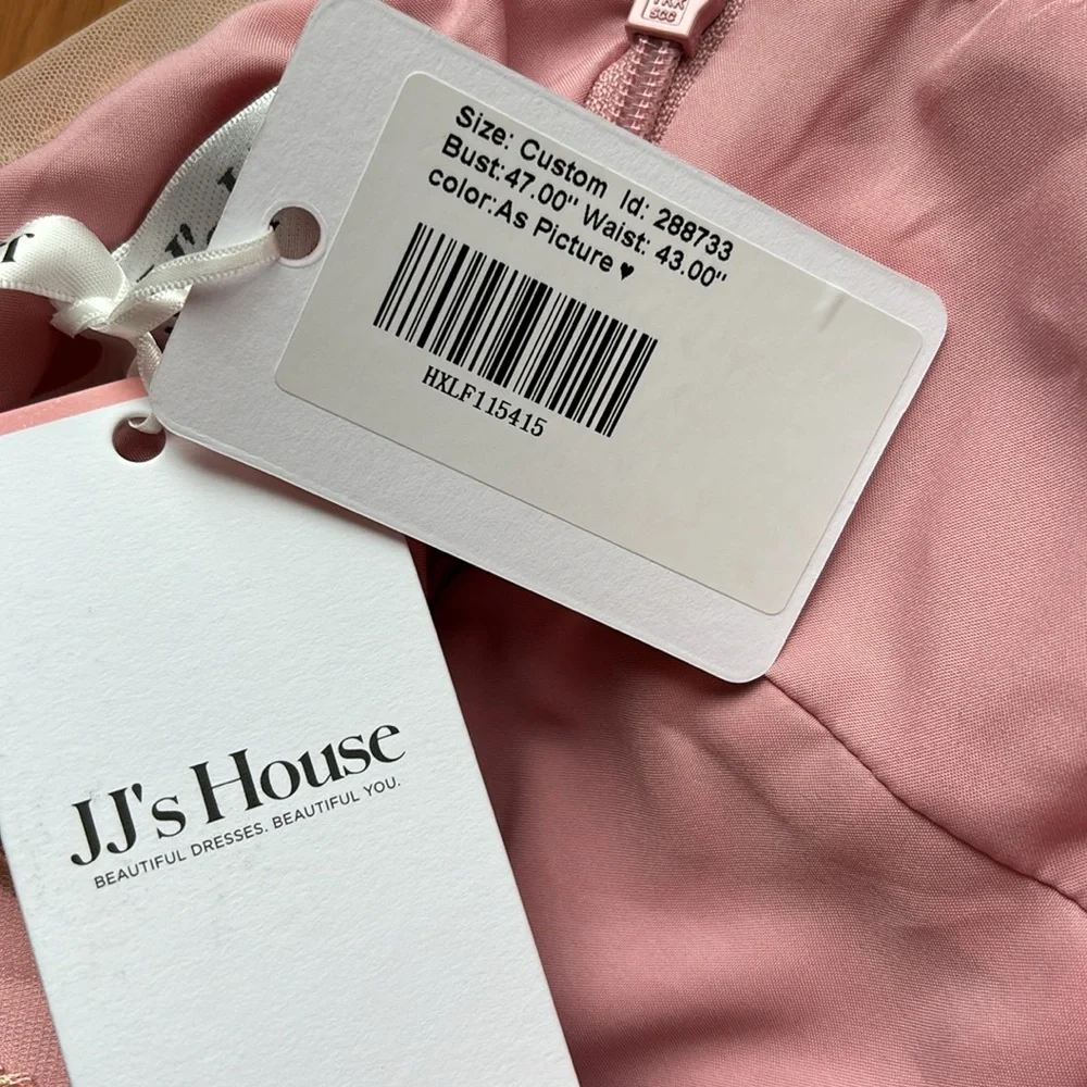 NWDT J.J.’s House, romantic pink embroidered special occasion dress. Size 2X. - Picture 8 of 16
